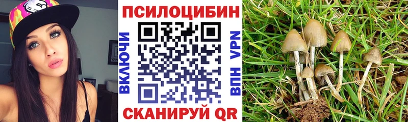 hydra маркетплейс  Слюдянка  Псилоцибиновые грибы Cubensis 