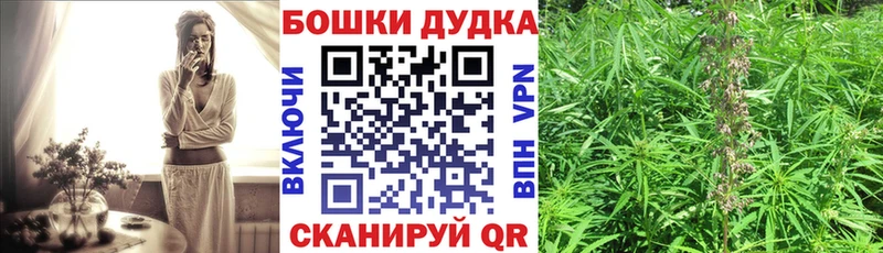 Шишки марихуана OG Kush  где купить   Слюдянка 